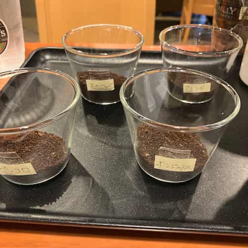 トレーに乗っているプリンカップに入れられた、カッピング用の4種類の豆